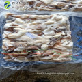 Wholesale Popular Frozen Giant Squid Neck